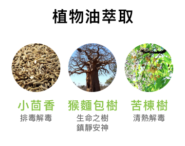 Echos 竹炭淨化洗頭水350ML / 1000ML