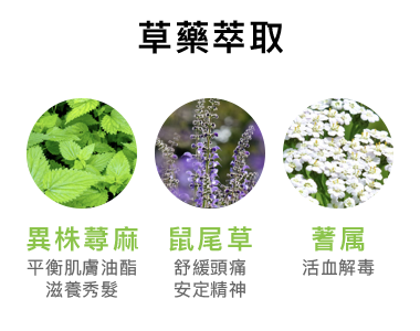 Echos 竹炭淨化洗頭水350ML / 1000ML